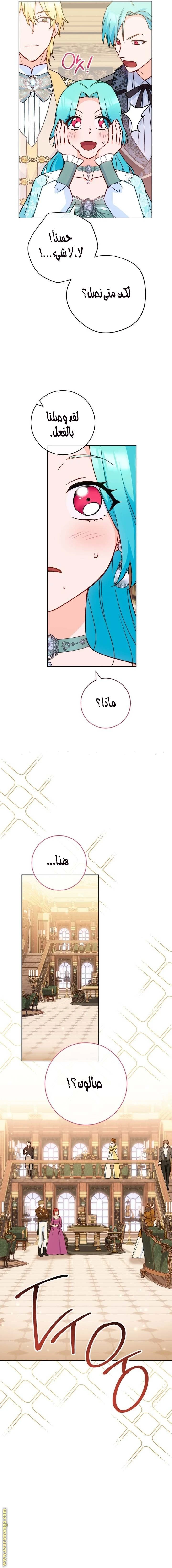 الصفحة 13