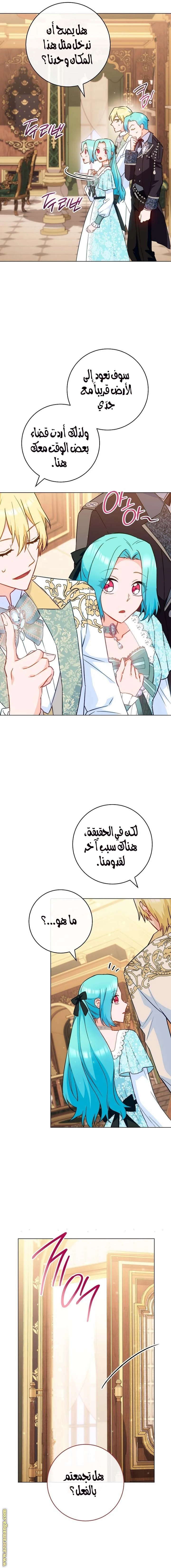 الصفحة 14