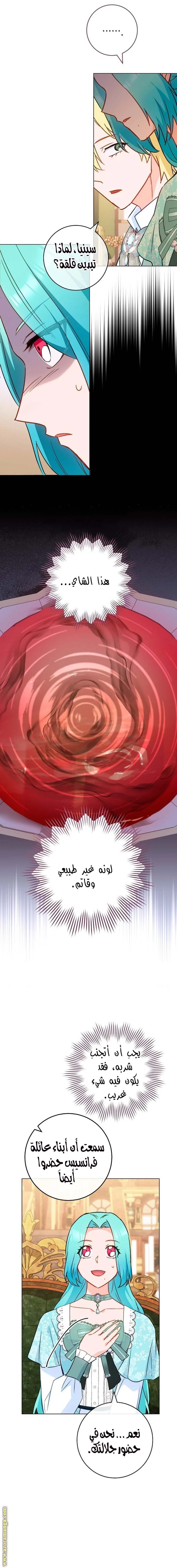 الصفحة 17