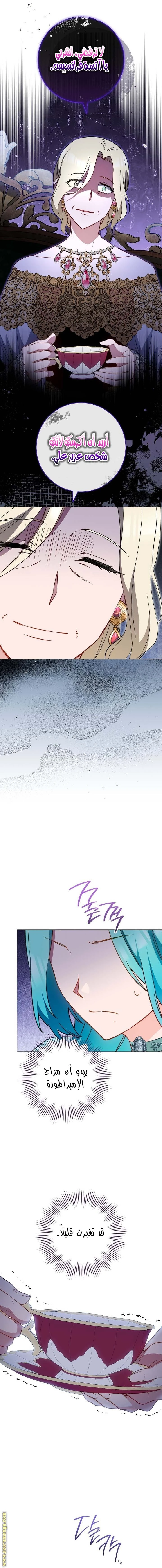 الصفحة 19