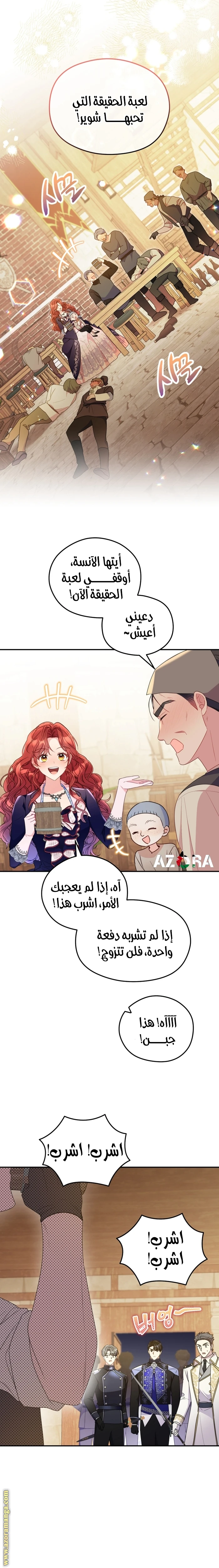 الصفحة 17