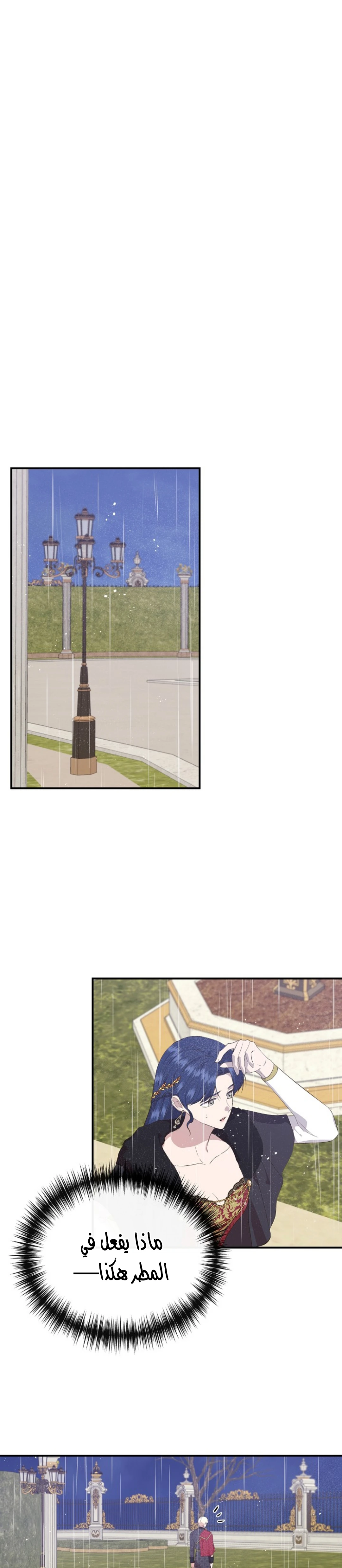 الصفحة 29