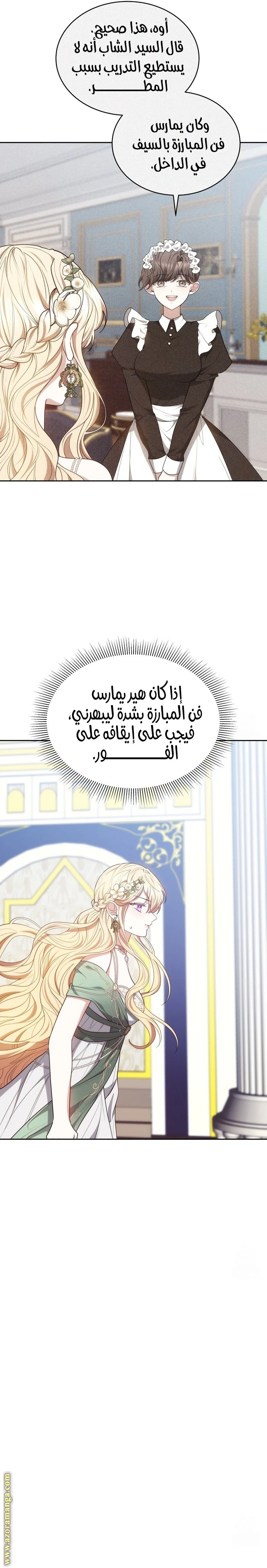 الصفحة 17
