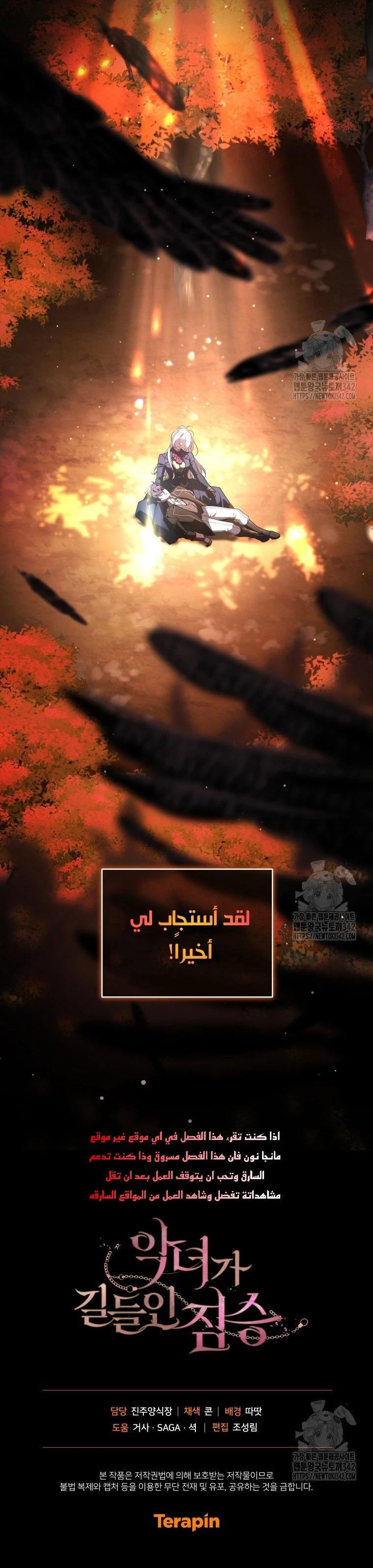الصفحة 11