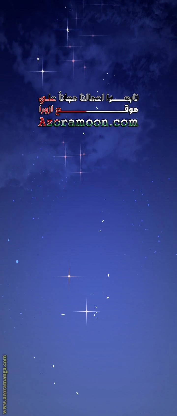 الصفحة 29