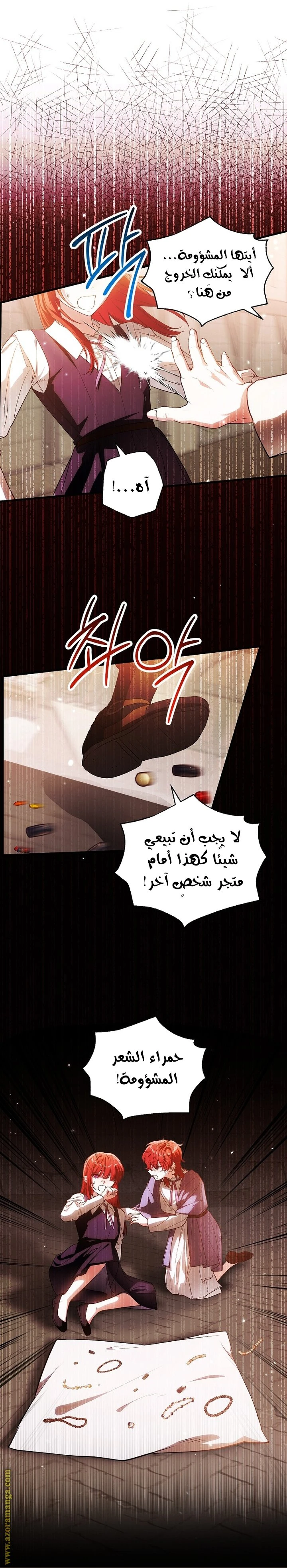 الصفحة 17