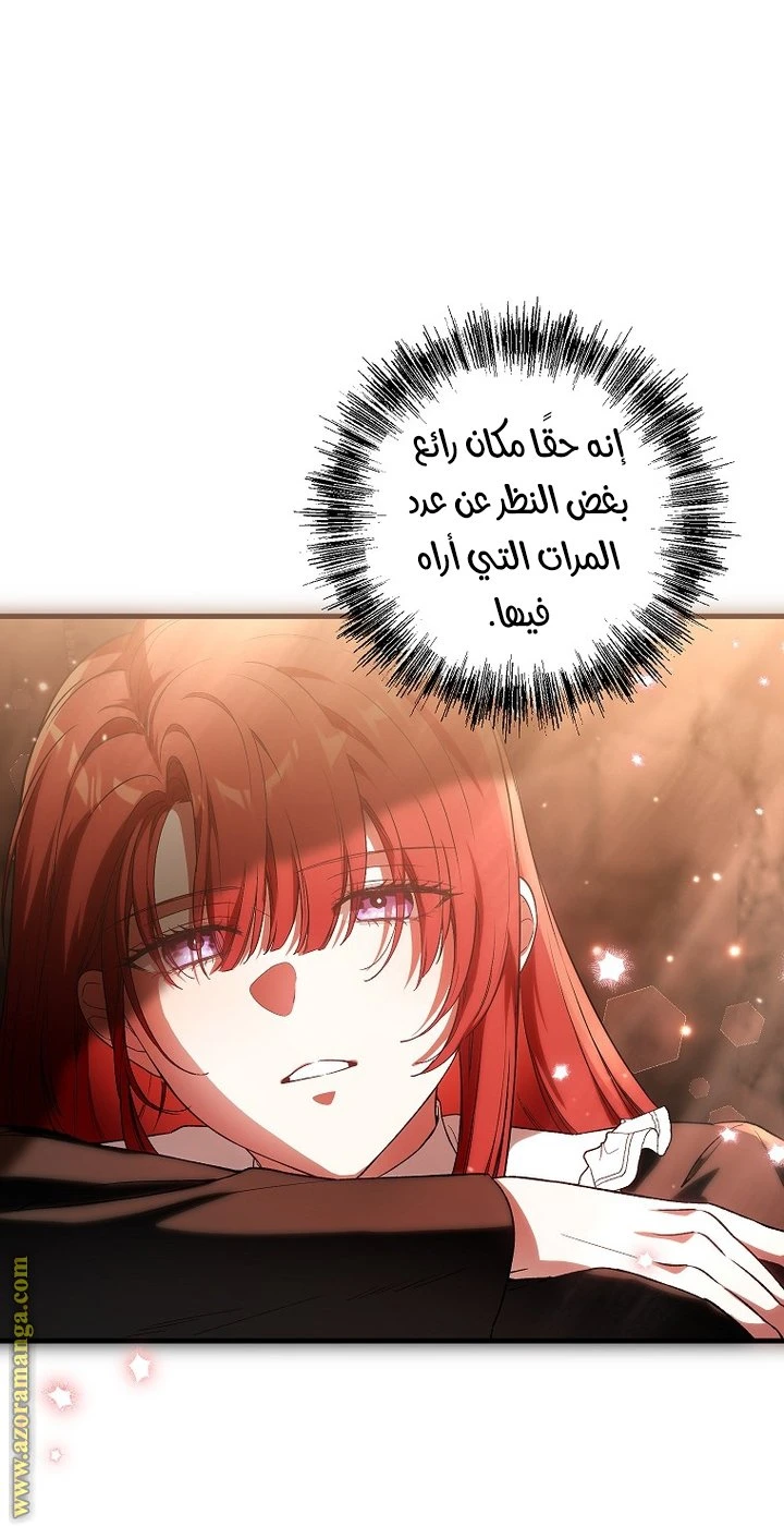 الصفحة 26