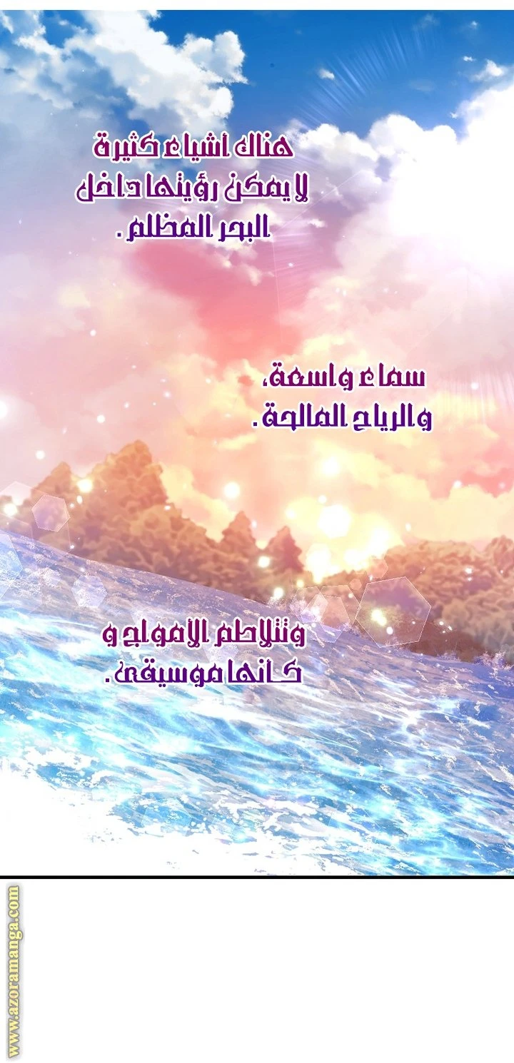 الصفحة 27