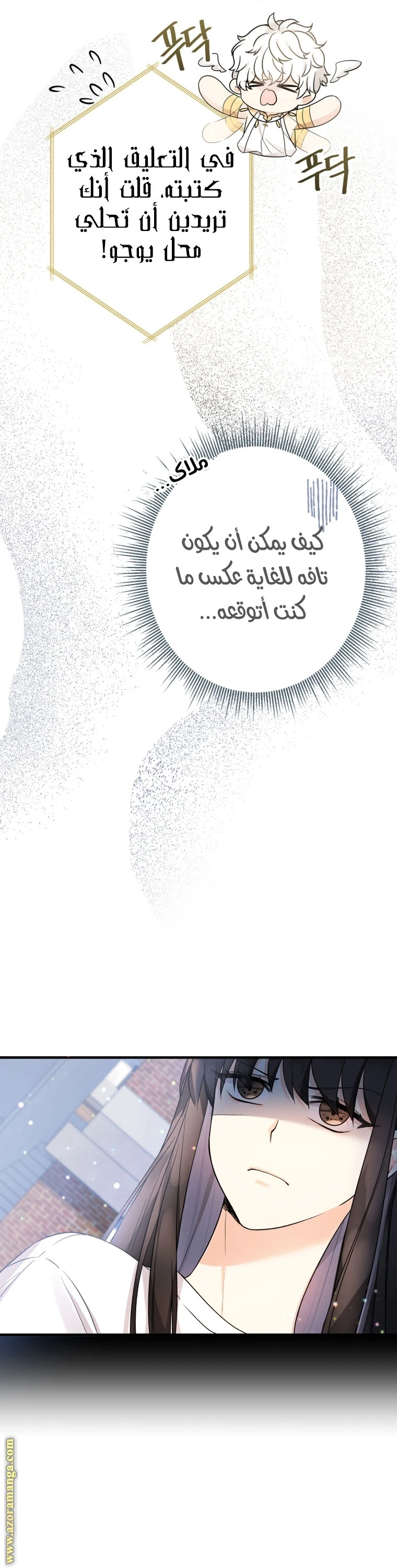 الصفحة 19