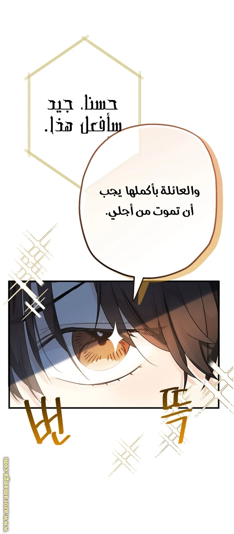 الصفحة 29