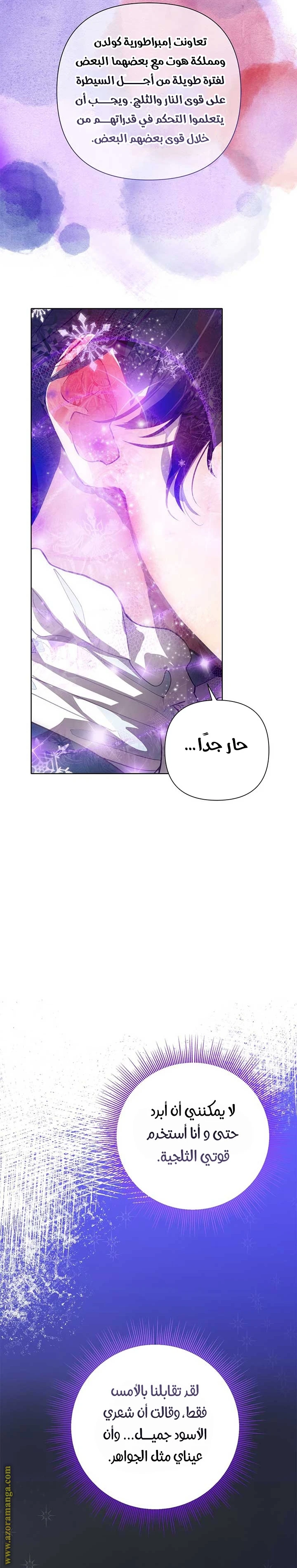 الصفحة 17