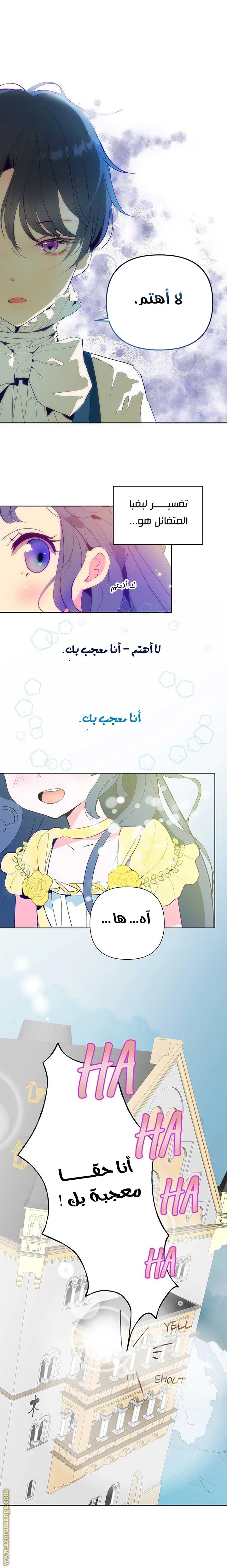 الصفحة 27