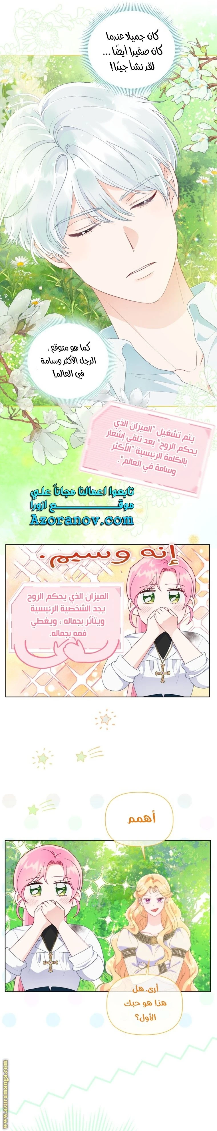 الصفحة 13