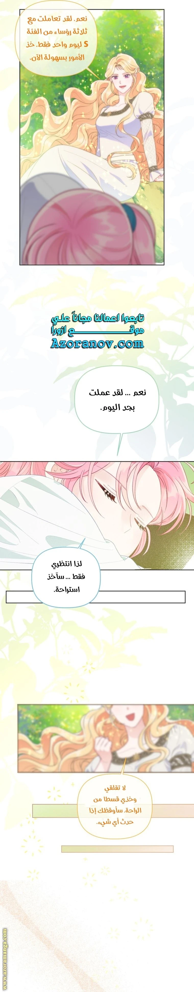 الصفحة 17