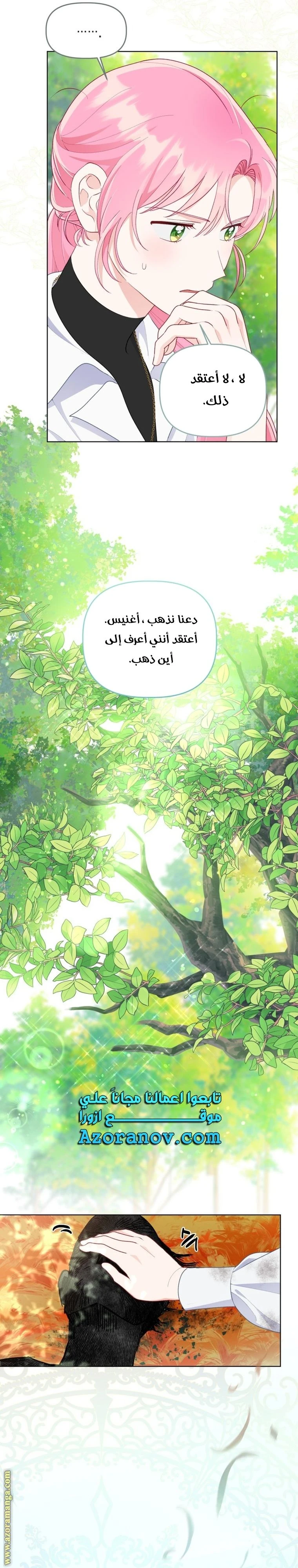 الصفحة 20
