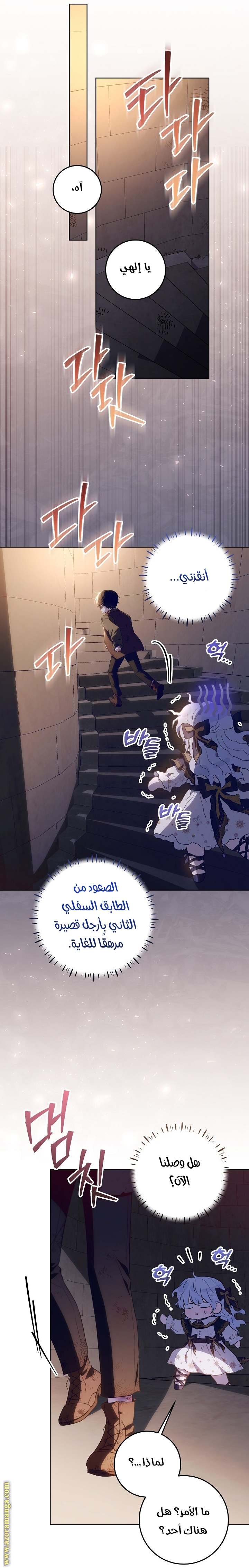 الصفحة 17