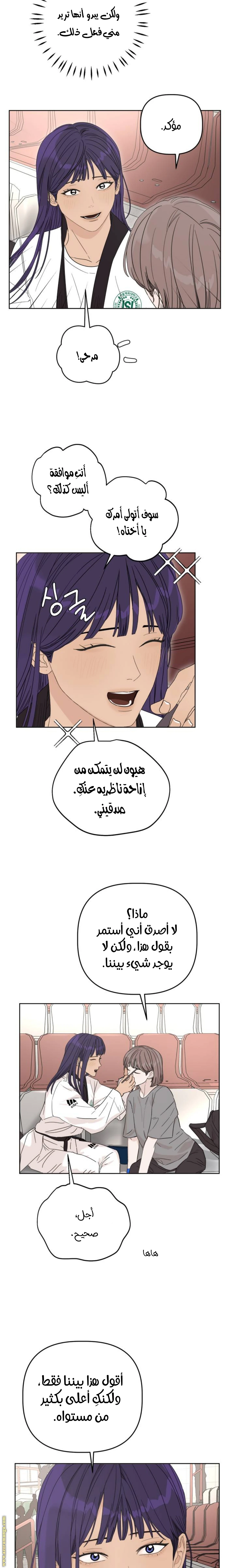 الصفحة 12