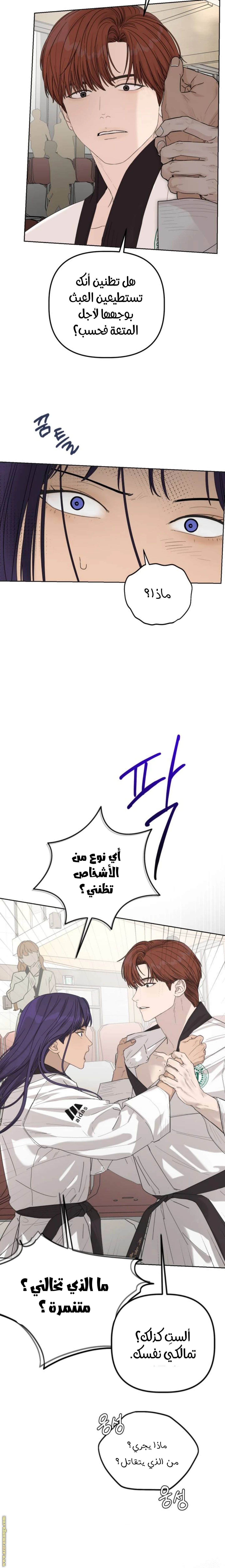 الصفحة 17
