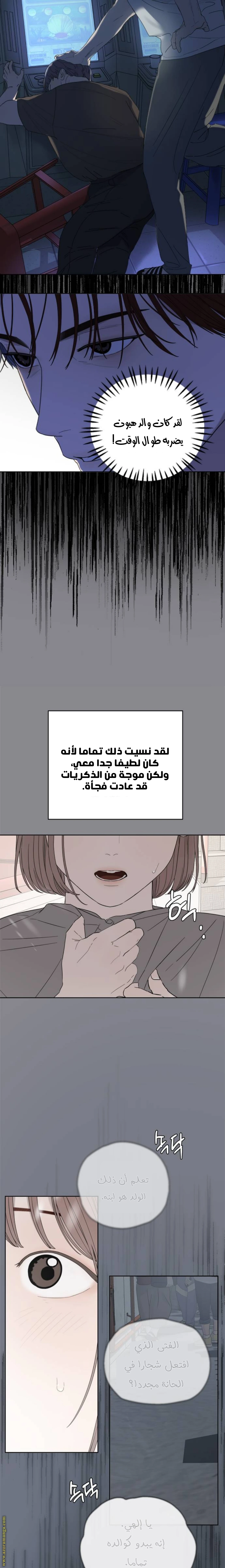 الصفحة 19