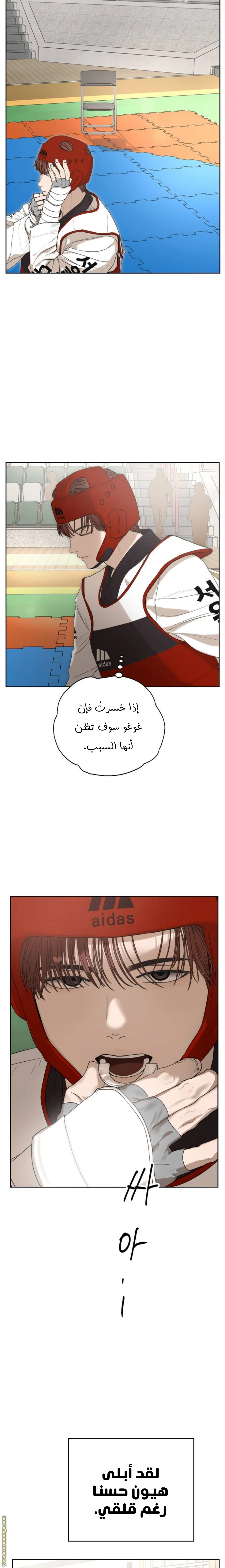 الصفحة 29