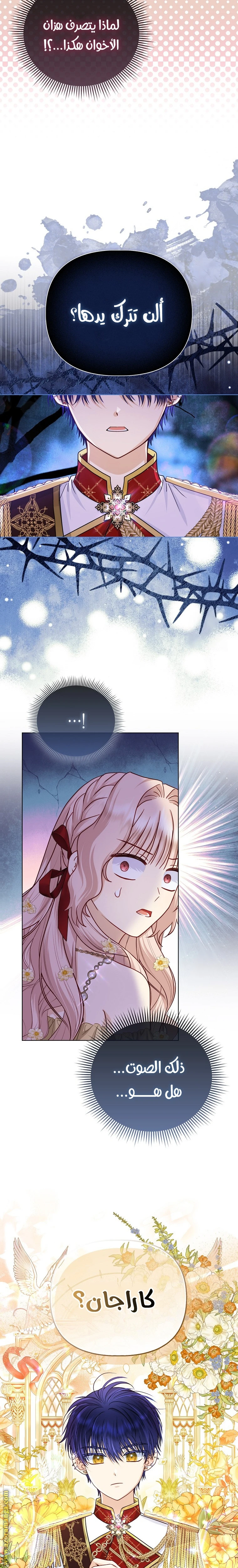 الصفحة 15