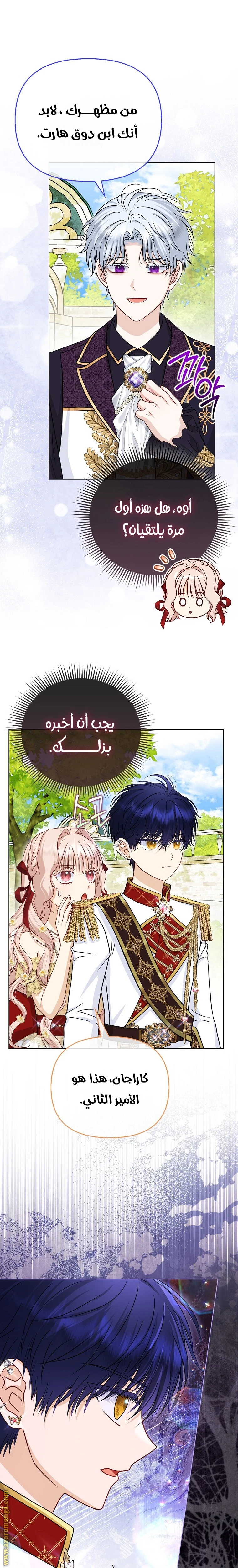 الصفحة 17