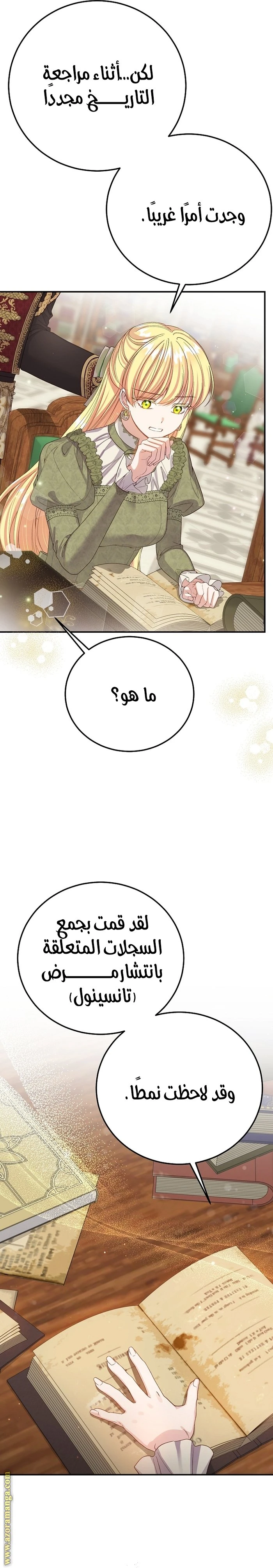 الصفحة 13