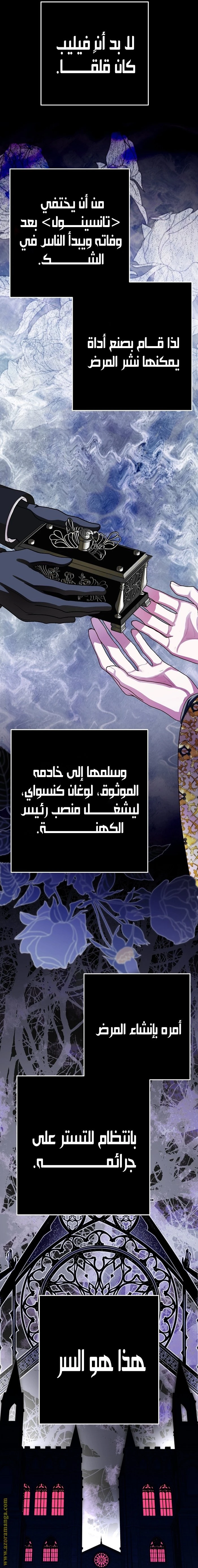 الصفحة 17