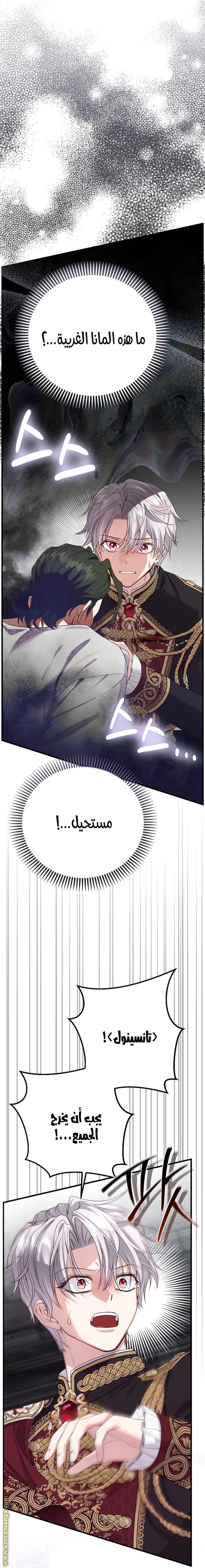 الصفحة 24