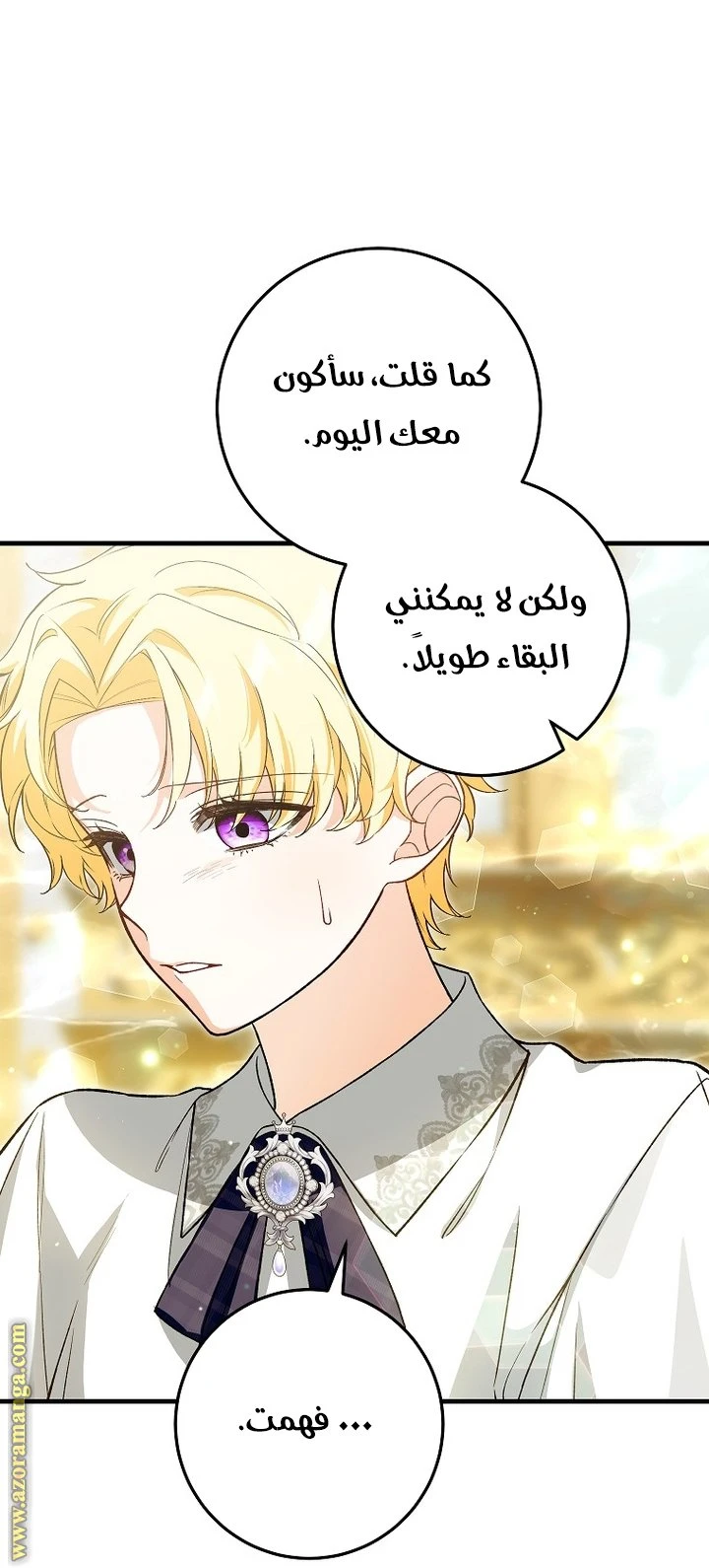 الصفحة 17