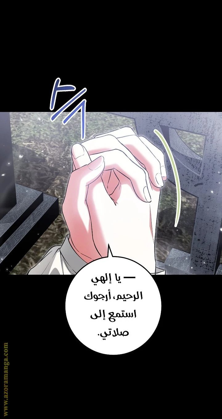 الصفحة 21