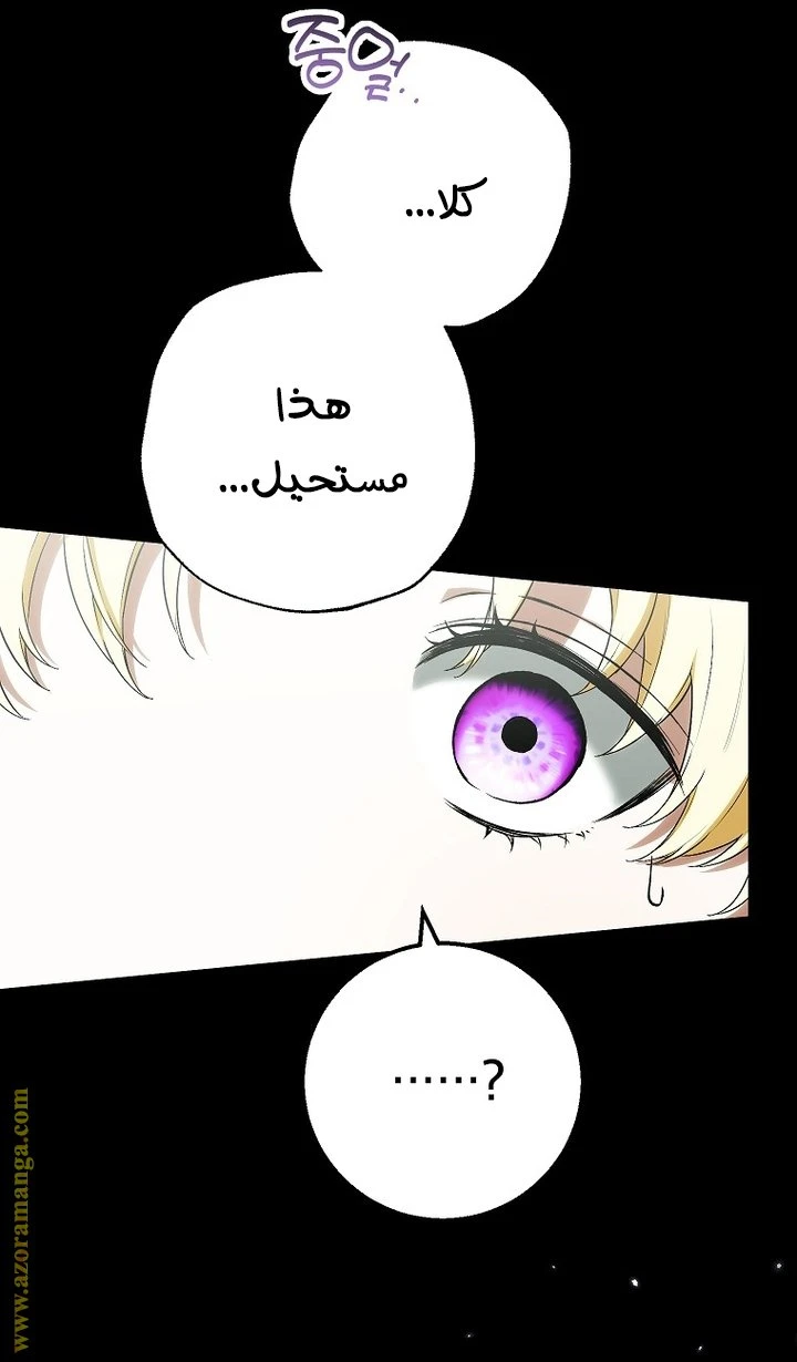 الصفحة 24