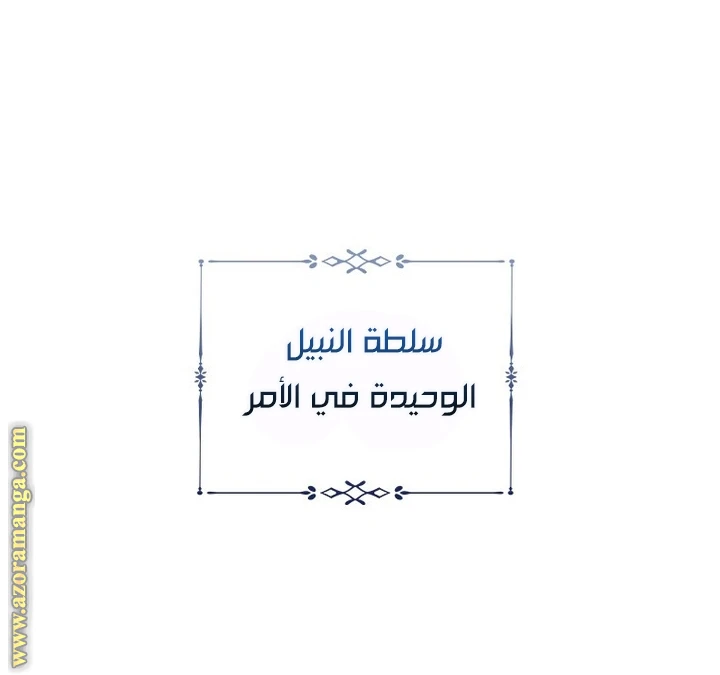 الصفحة 41