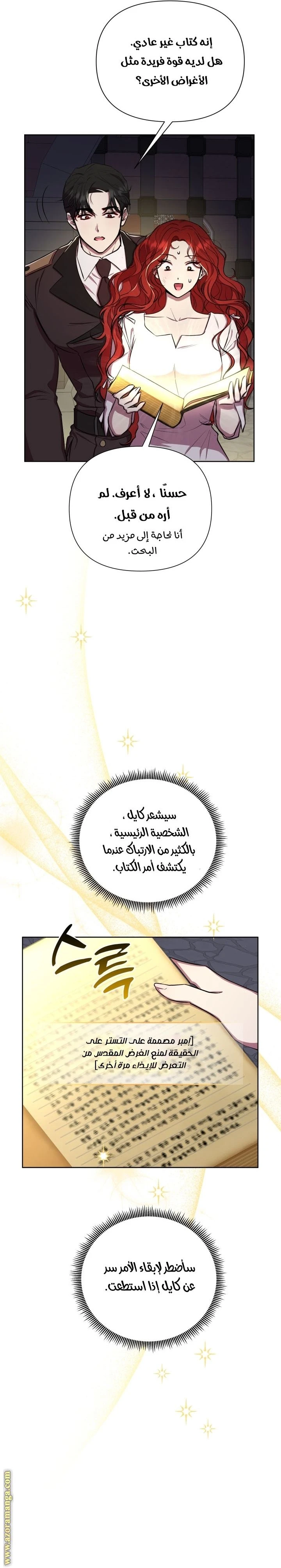 الصفحة 26