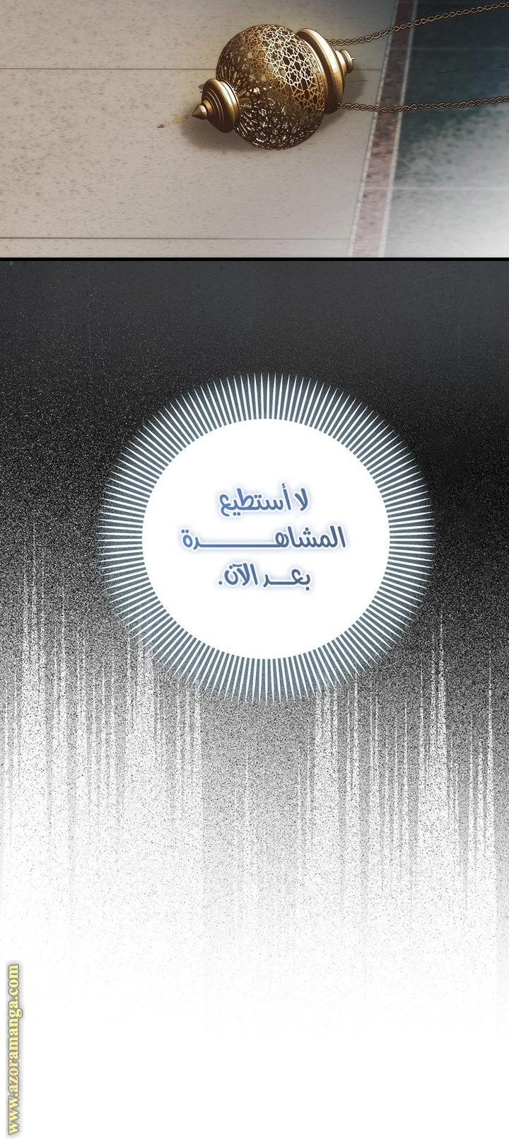 الصفحة 42