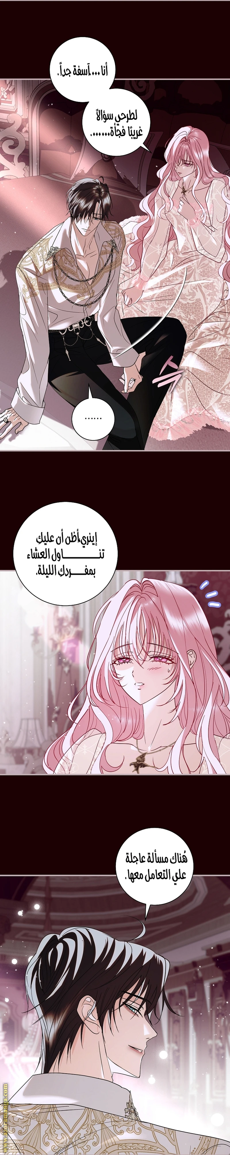 الصفحة 3
