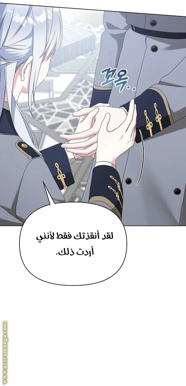 الصفحة 27