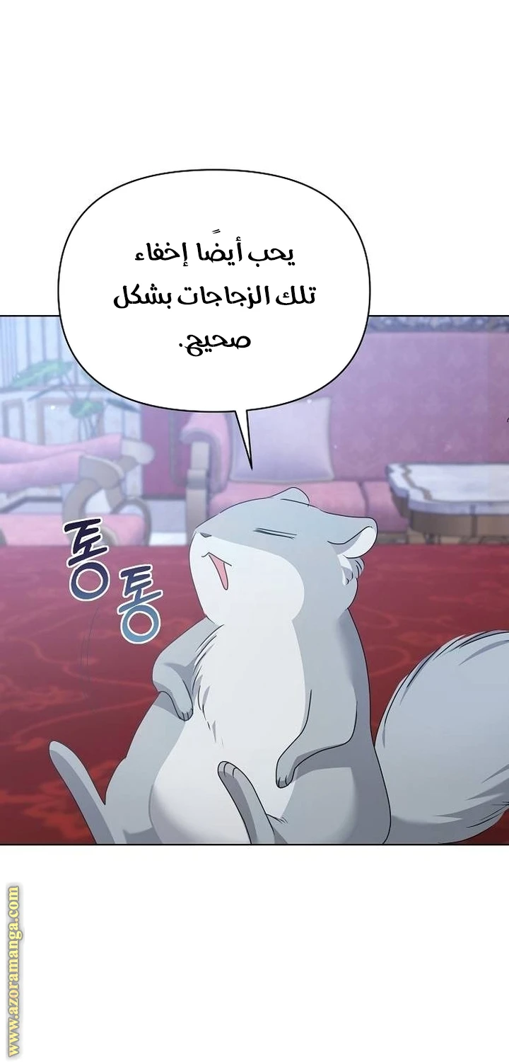 الصفحة 48