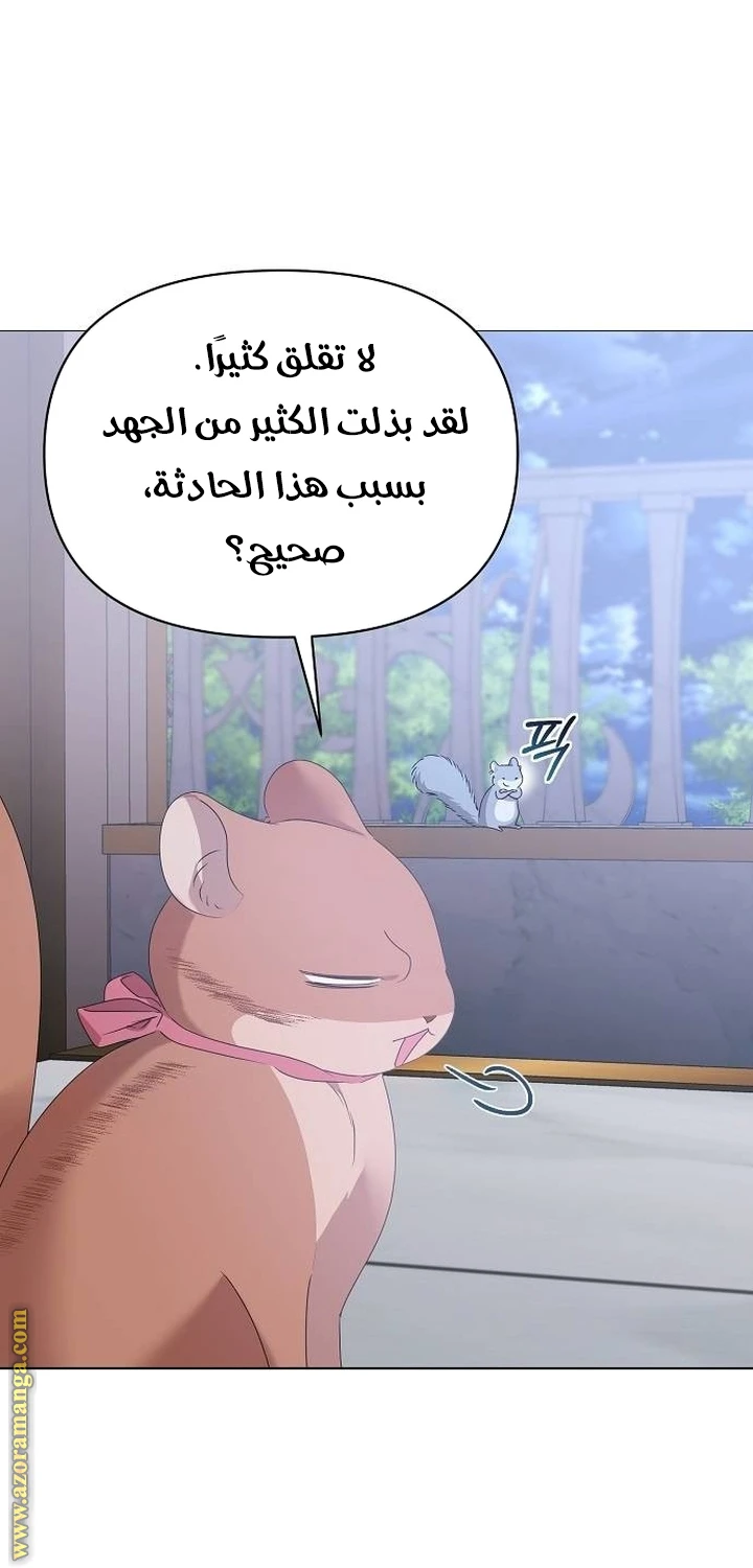 الصفحة 58