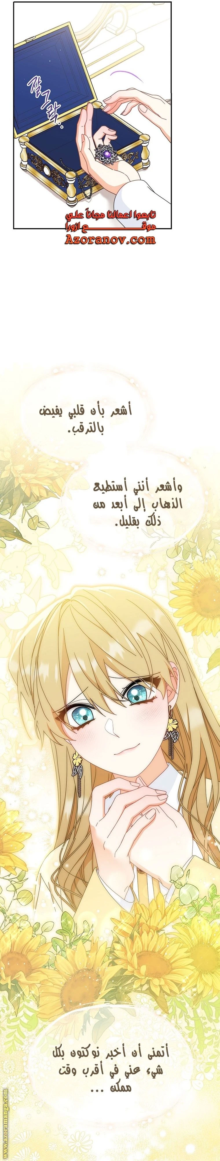 الصفحة 17