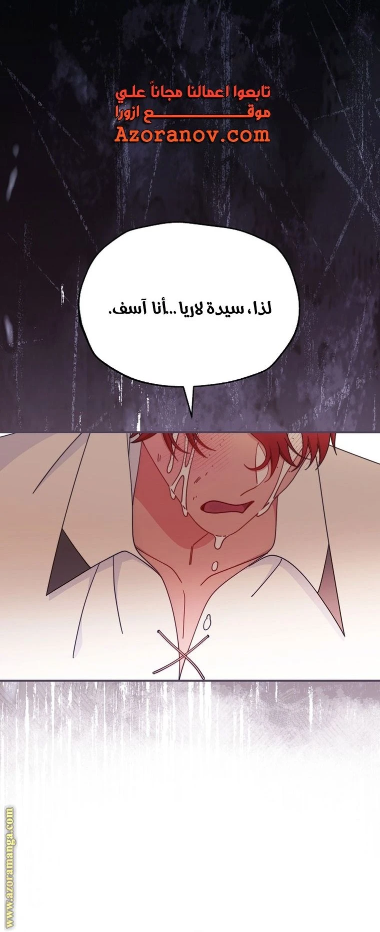 الصفحة 29