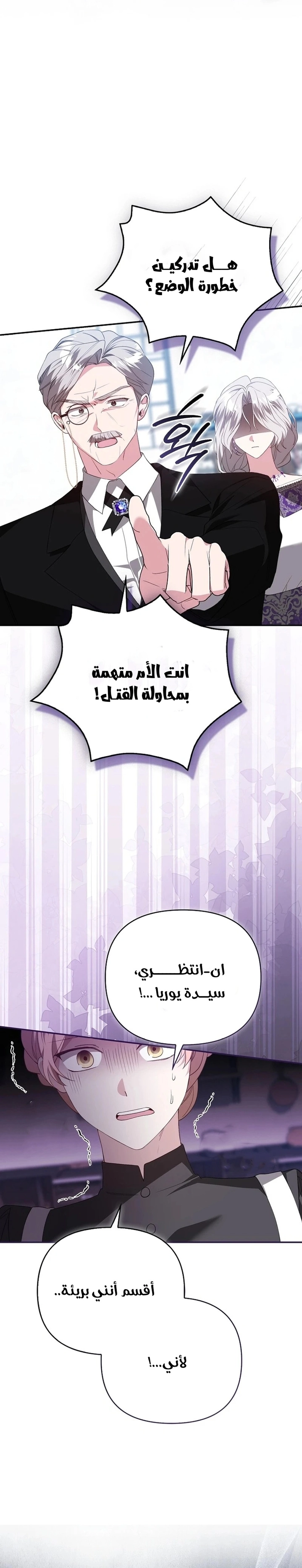الصفحة 17