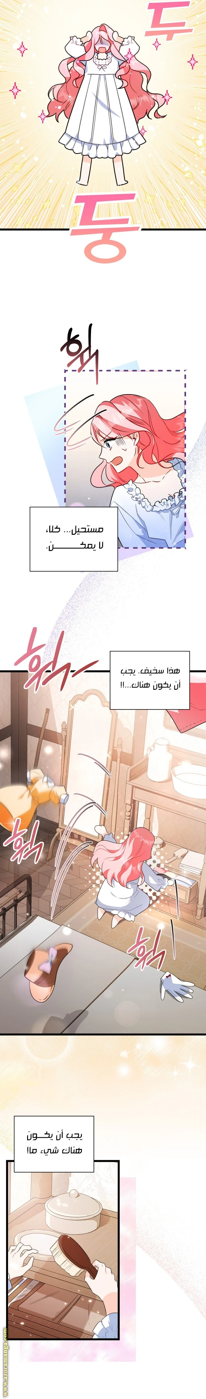 الصفحة 17