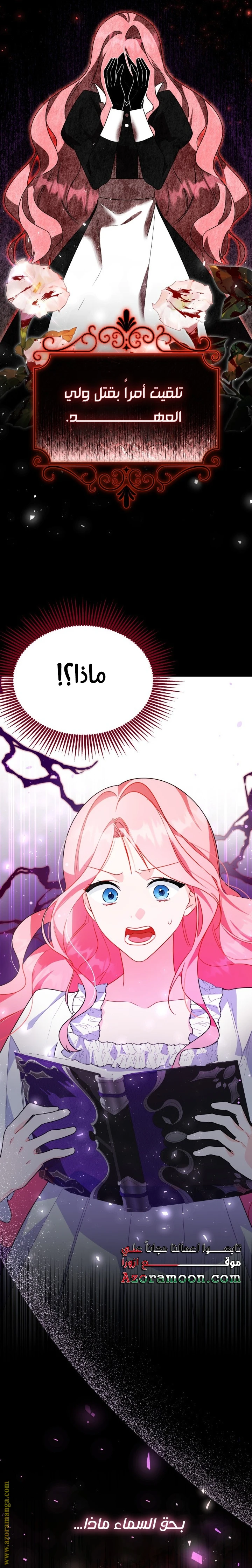 الصفحة 23