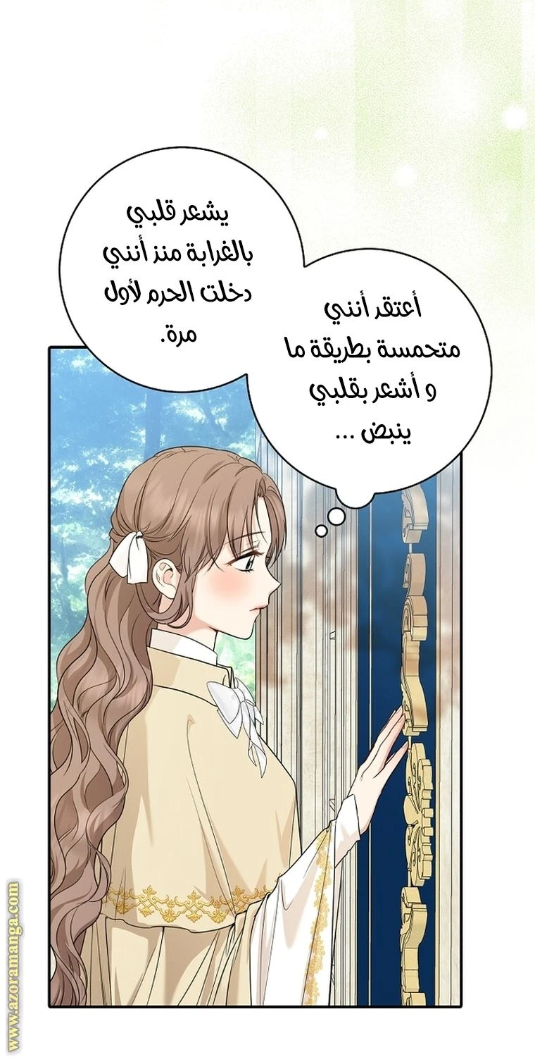 الصفحة 29