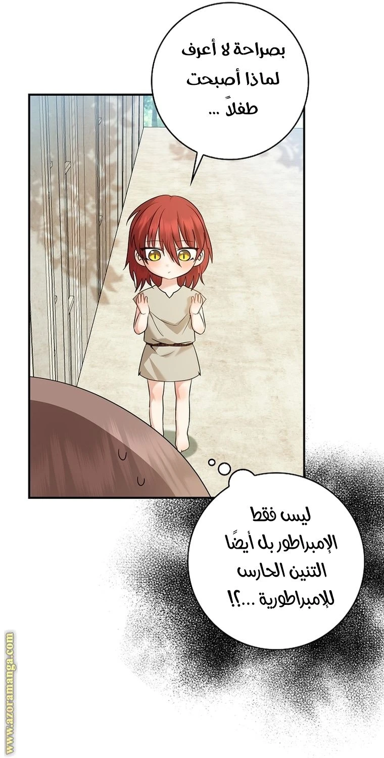 الصفحة 64