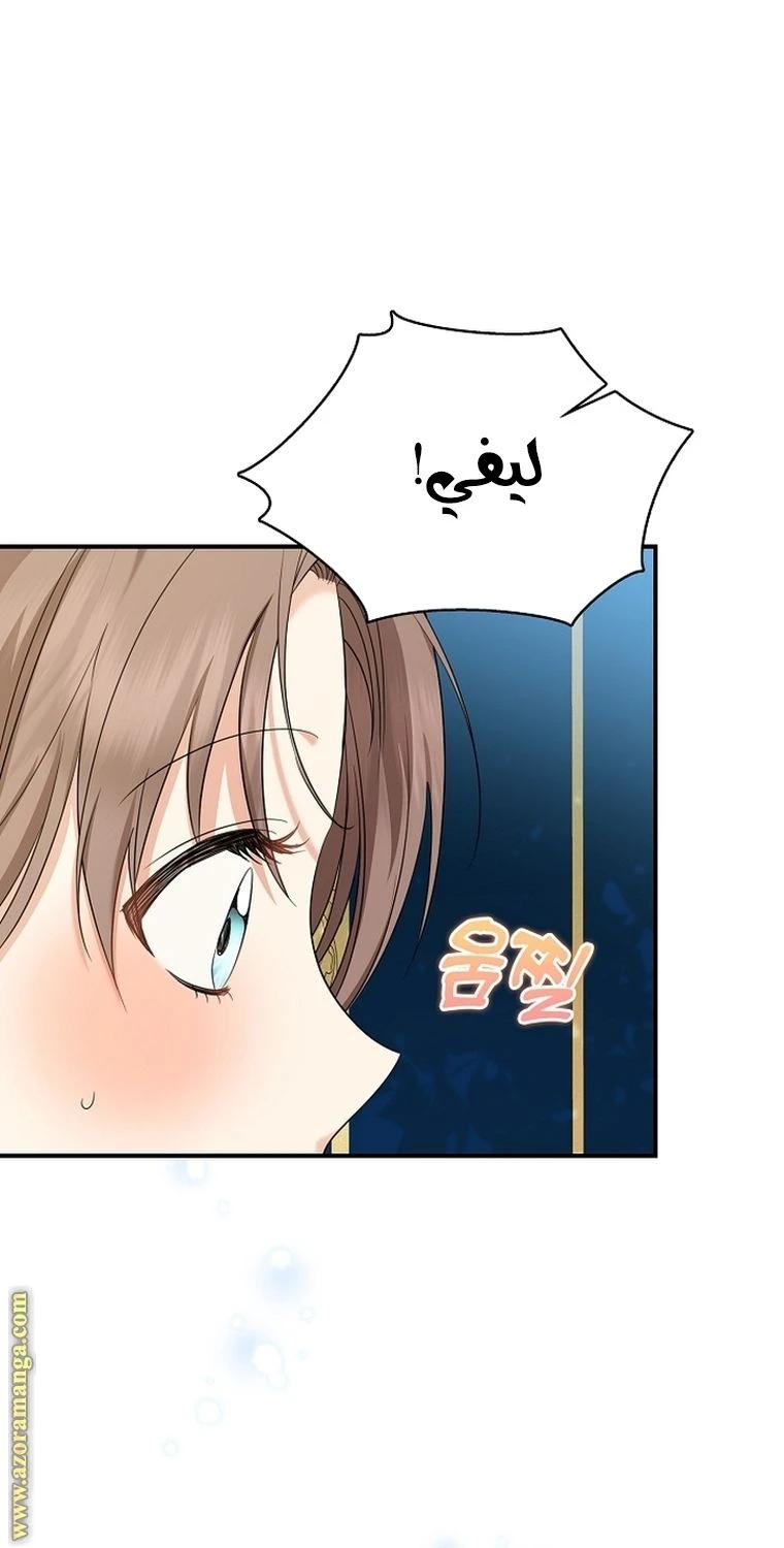 الصفحة 73