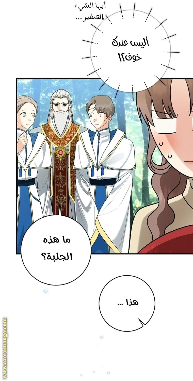 الصفحة 91