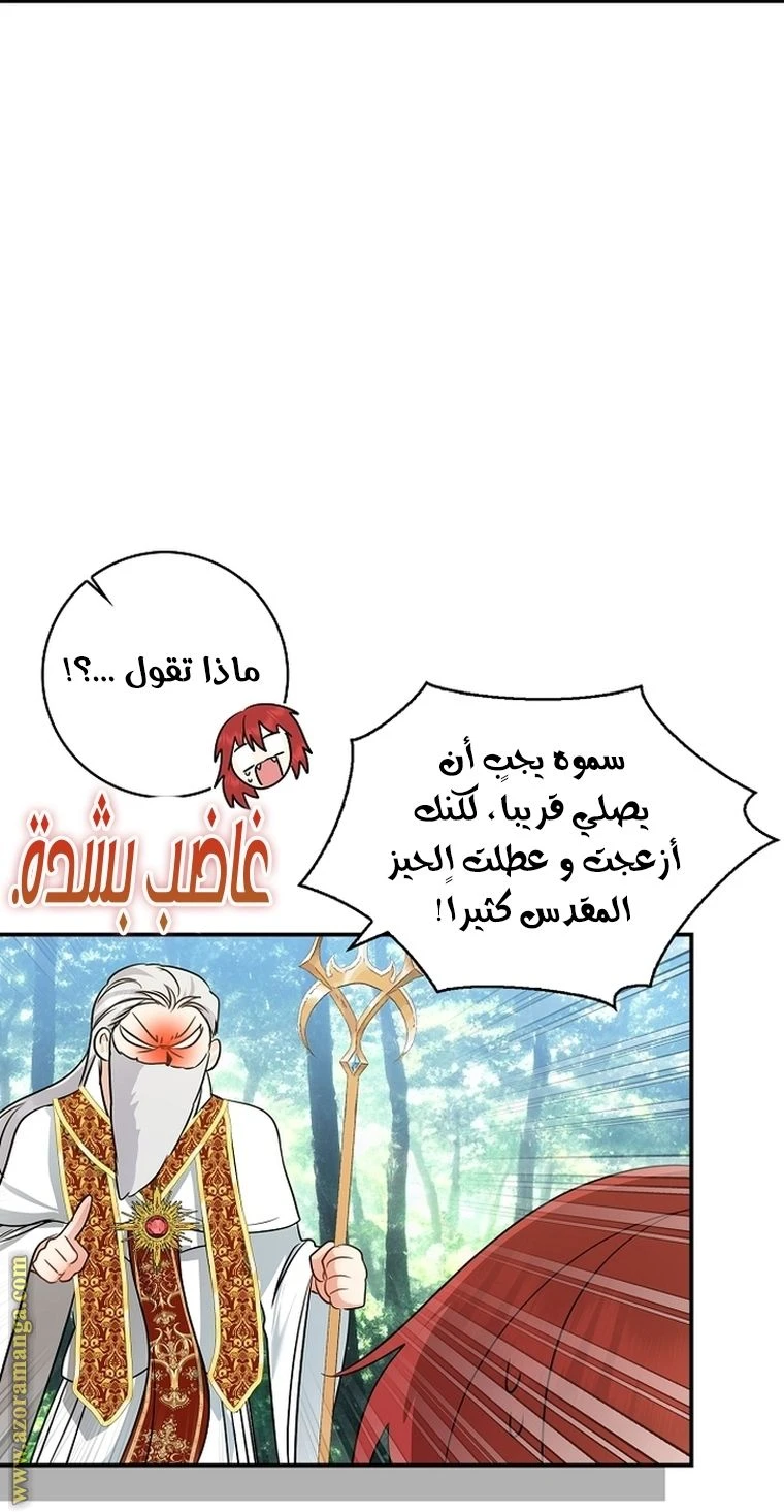 الصفحة 97