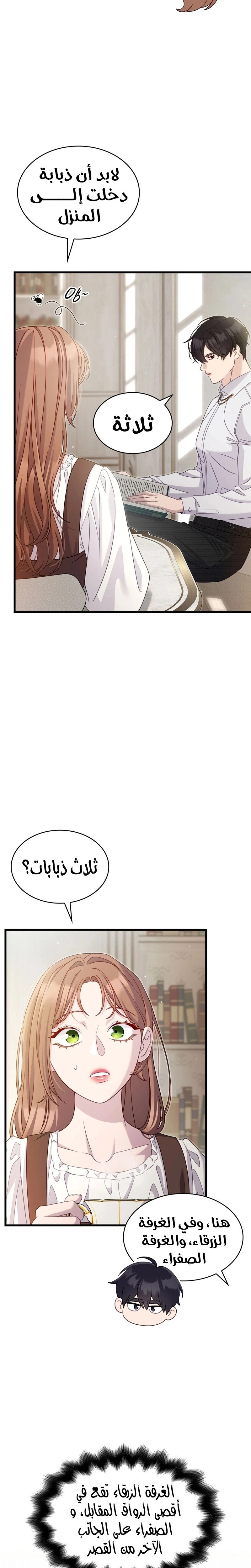 الصفحة 3